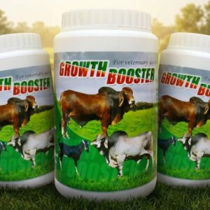 Growth Booster | (3টার কম্বো প্যাকেজ) | 2,700 tk